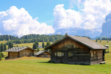 Fototapeta na wymiar Baite di montagna in legno su paesaggio montano in mezzo a prati verdi