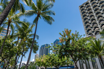 Fototapeta na wymiar Scenic Waikiki Beach street vista, Honolulu, Oahu, Hawaii