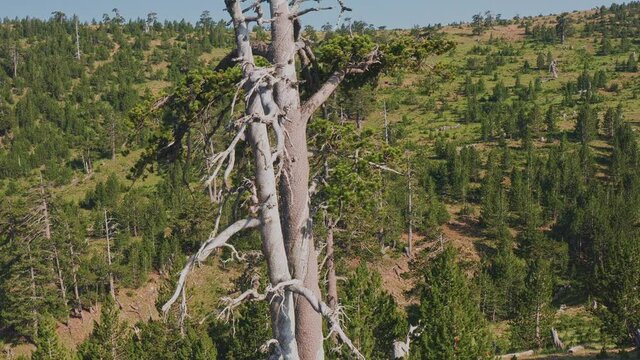 4K aerial footage to Baltses - Pindos National Park, Epirus, Greece