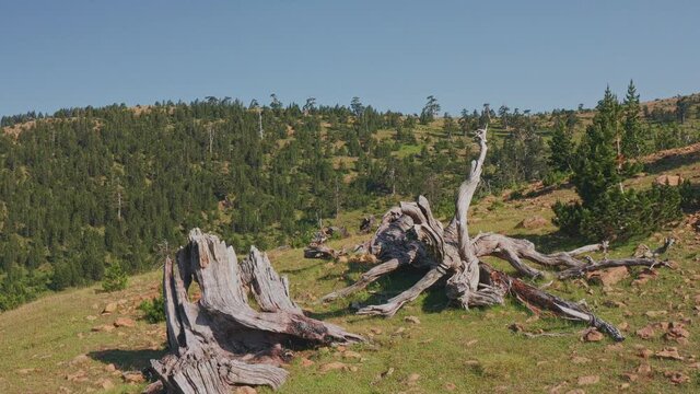 4K aerial footage to Baltses - Pindos National Park, Epirus, Greece