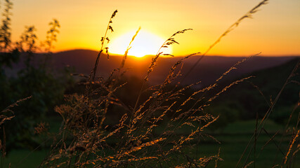 Obraz premium Sunset in Saarland with the view of a valley. Warm light mood