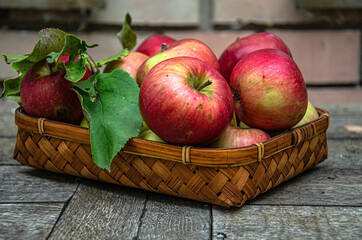 Harvest apples from the home garden in a wicker basket, on a wooden table.