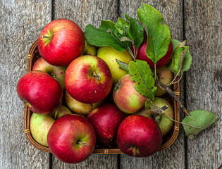 Harvest apples from the home garden in a wicker basket, on a wooden table. View from above.