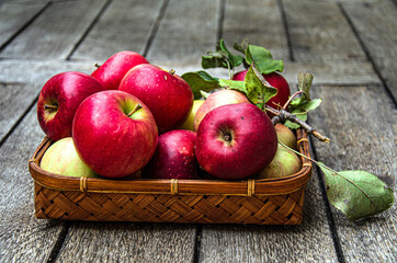 Harvest apples from the home garden in a wicker basket, on a wooden table.