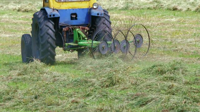 Tractor with star-wheel tedder rakes driving, fluffing up hay, turning it over to dry, collecting cut hayfield, straw into windrows. Farm machinery harvesting sown grasses. Agricultural vehicle