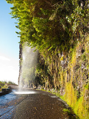 Waterfall in the middle of a road in Madeira island