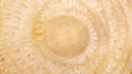 cross-cut banana tree circle texture