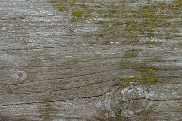 Rustic grey grunge wood background. Wooden texture with copy space 