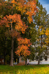 Naklejka premium Trees with orange, yellow and red autumn leaves in a city park in early autumn.