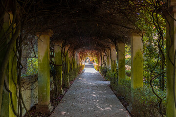 Small tunnel covered with vegetation, in a garden.