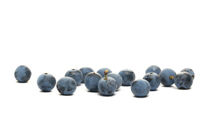 Fresh blackthorn berries isolated on white background