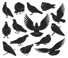Dove bird isolated black set icon. Pigeon vector black set icon. Vector illustration dove bird on white background.