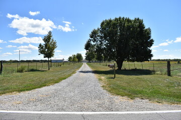 Farm Lane