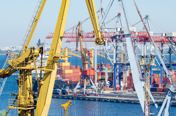 Port cranes and sea containers in the cargo seaport