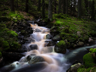 Fototapeta na wymiar Stream in old forest in Sweden, Scadinavia. Long exposure shot.