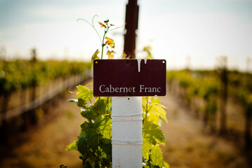 sign in a Grape Vineyard in Napa Valley, California 