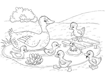 At the farm. Mother duck and her ducklings. Coloring page. Illustration for children. Cute and funny cartoon characters