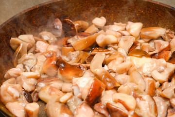The boletus is fried in a pan. Cooking porcini mushrooms in a frying pan close-up view. delicious and fresh porcini mushrooms are cooking