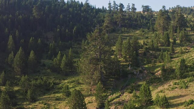 4K aerial footage to Baltses - Pindos National Park, Epirus, Greece