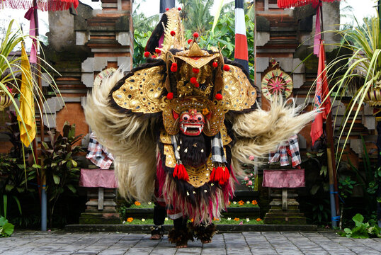 The mythological lion-like character in the Balinese Barong dance, Bali, Indonesia