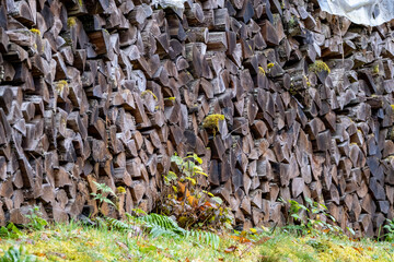 Tas de bois de chauffage