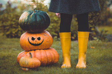 A girl with Jack's pumpkin close-up and a beautiful autumn tinting. A pumpkin lantern with a carved...