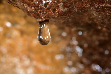 GOTA DE AGUA CAYENDO EN UN  NACIENTE