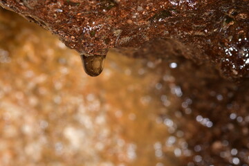 GOTA DE AGUA CAYENDO EN UN  NACIENTE