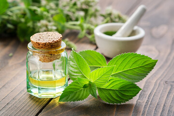 Bottle of mint essential oil and peppermint leaves. Mortar of spearmint leaves and blossom Mentha piperita medinal plants on background. © chamillew