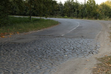 old cobblestone road near the forest