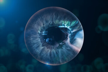 Blue iris of a person's eye