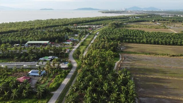 Aerial view plantation near the rural side at Sungai Udang