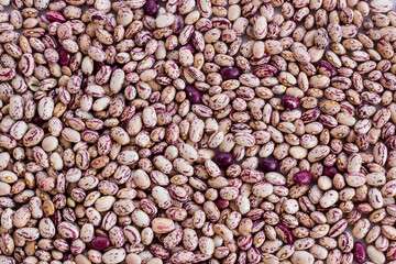 Striped red kidney beans background,flat layout