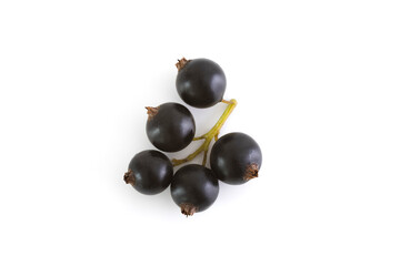 Black currants. Ripe juicy berries of black currant isolated on white background