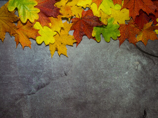 bright autumn leaves on concrete gray background with place for text