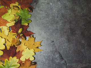 bright autumn leaves on concrete gray background with place for text