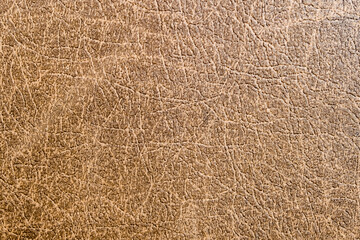 White cup of tea on wooden background among yellow fall leaves and knitted clothes