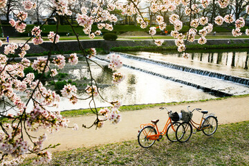 cycling in spring