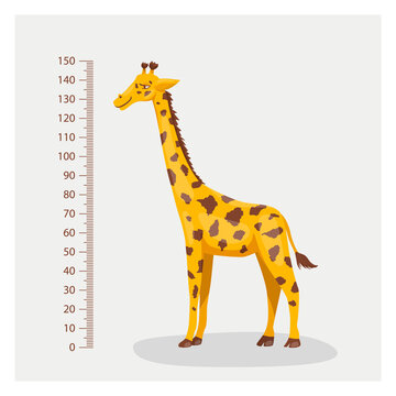 Vector Cartoon Cute Giraffe with Ruler, Growth Meter. Full Length Giraffe, Design Template. Child, Kid, Baby Concept. Tall Funny Hand Drawn Giraffe. Children s Illustration