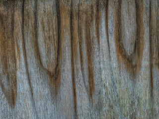 Fototapeta premium Holztextur