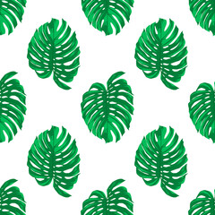 Seamless Pattern with Tropical Leaves on White. Repeated Tropical Background. Flat Vector Illustration. Africa, Savannh, Exotic, Summer, Monstera Pattern. Tropical Forest Concept