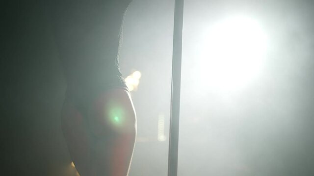 Female stripper dancing striptease in night club.