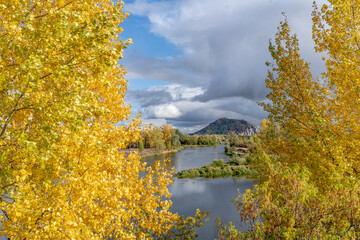 Autumn landscape with trees in the foreground. A river and a mountain can be seen between the yellow leaves. Cloudy sky.