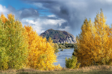 Obraz premium Autumn landscape with trees in the foreground. A river and a mountain can be seen between the yellow leaves. Cloudy sky.