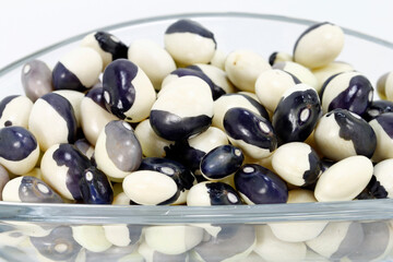 nutritional culture Bean seeds ying yang 