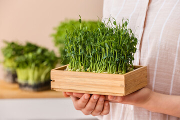 Woman with healthy micro green at home, closeup