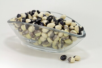 nutritional culture Bean seeds ying yang 