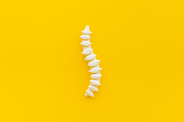 Healthy human spinal column skeleton model. Top view