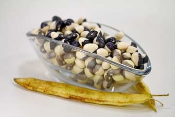 nutritional culture Bean seeds ying yang 