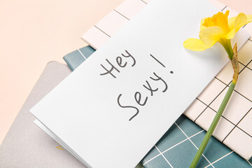 Notebooks with text HEY SEXY and flower on color background
